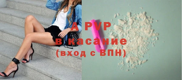 гашик Абаза