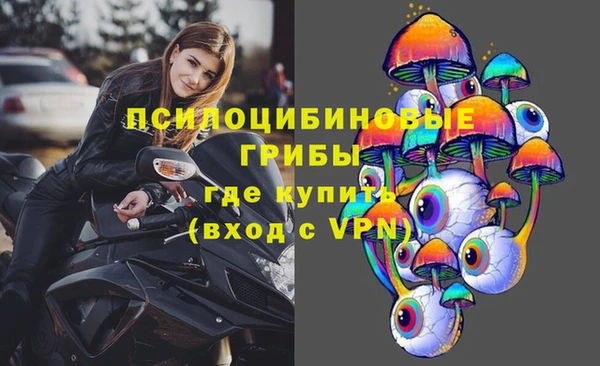 амф Алзамай