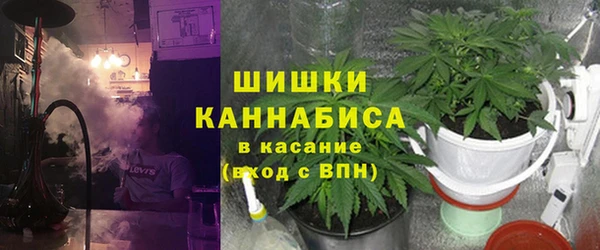 амф Алзамай