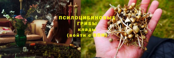 гашик Абаза