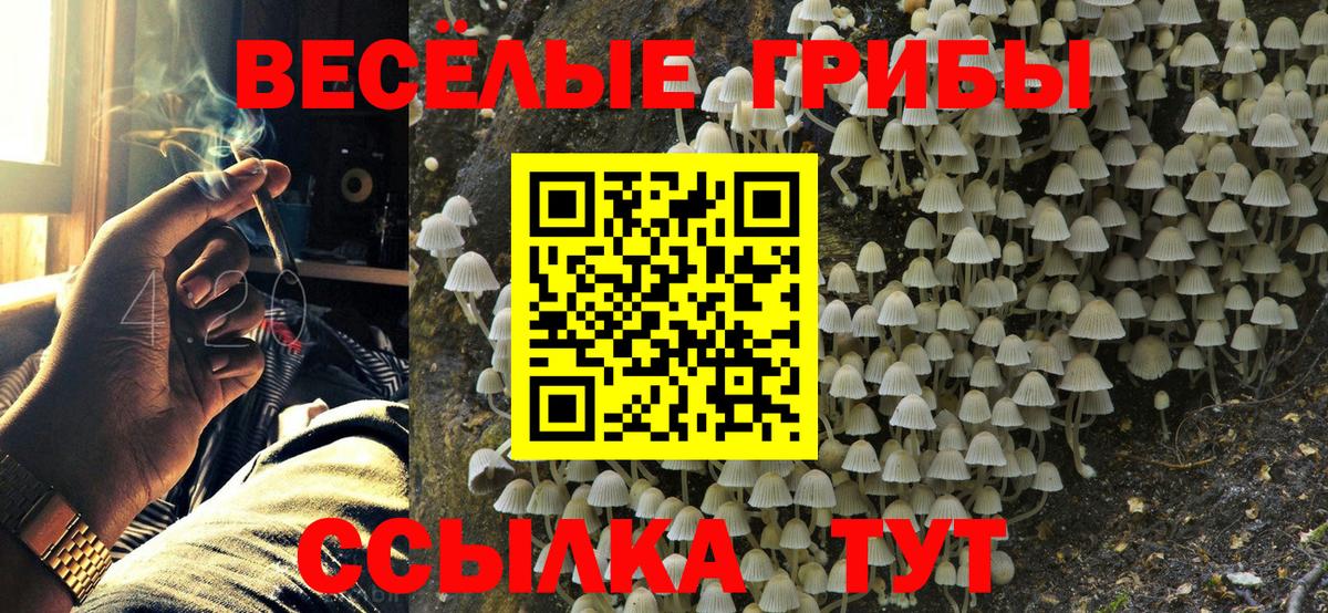 Псилоцибиновые грибы прущие грибы  Вход с VPN  Нефтеюганск 